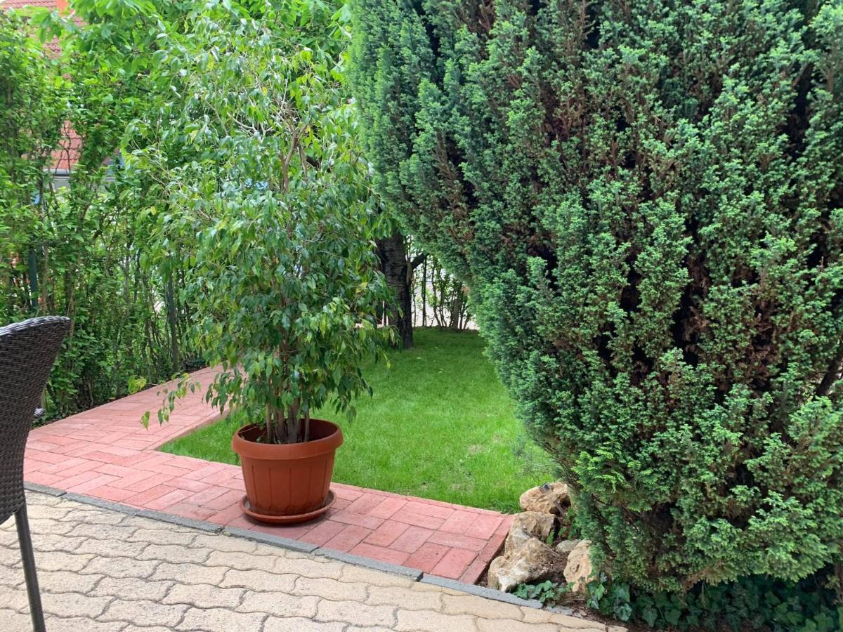 Balaton Apartment